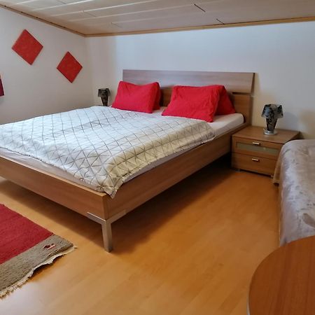Appart Burgwies inklusive Sommercard Stuhlfelden Exterior foto